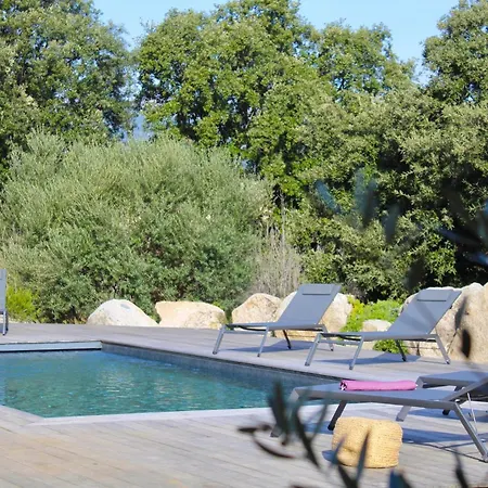 Pura Vida Di Olmuccio