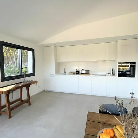 Pura Vida Di Olmuccio