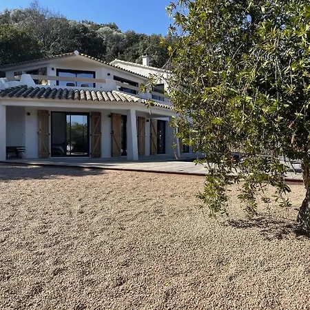 Pura Vida Villa *