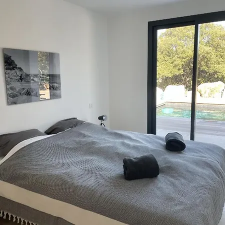 Pura Vida