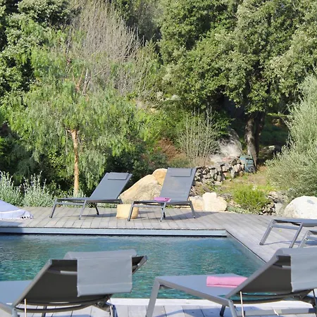 Pura Vida Villa *