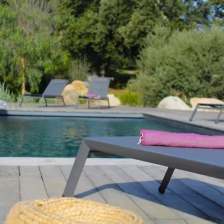 Villa Pura Vida Di Olmuccio