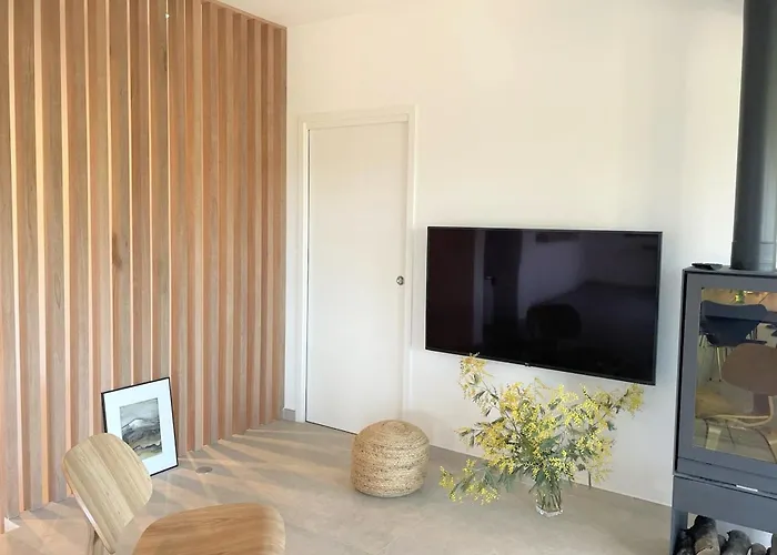 Pura Vida Di Olmuccio *