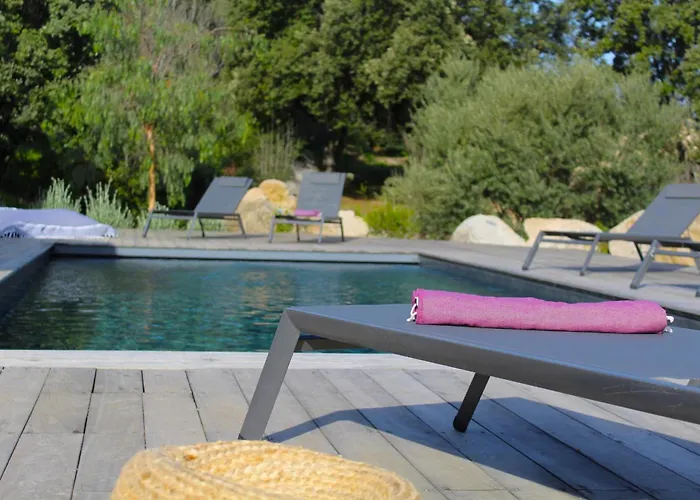 Willa Pura Vida Di Olmuccio