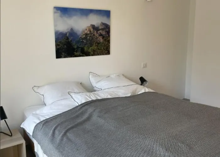 Pura Vida Di Olmuccio Willa